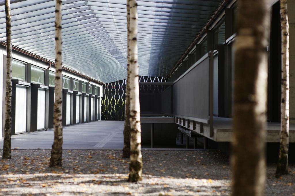 Greulich Design & Boutique Hotel Zúrich Exterior foto