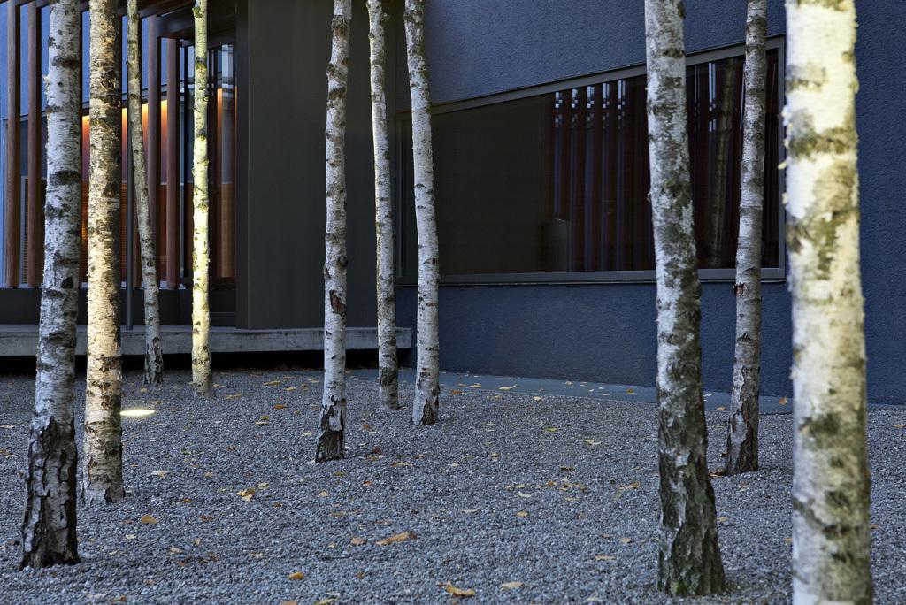 Greulich Design & Boutique Hotel Zúrich Exterior foto
